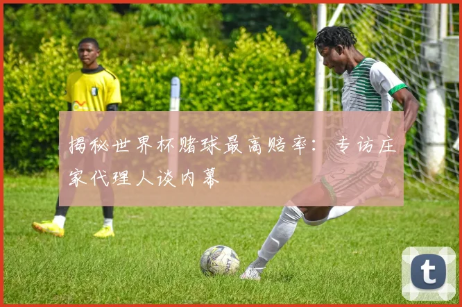 揭秘世界杯赌球最高赔率：专访庄家代理人谈内幕