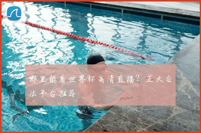 哪里能看世界杯高清直播？五大合法平台推荐