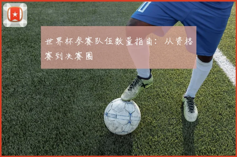 世界杯参赛队伍数量指南:从资格赛到决赛圈