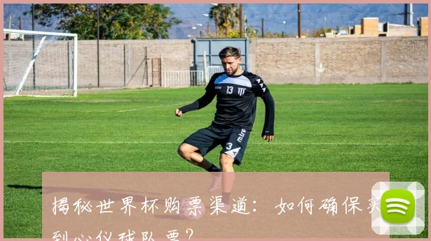 揭秘世界杯购票渠道：如何确保买到心仪球队票？