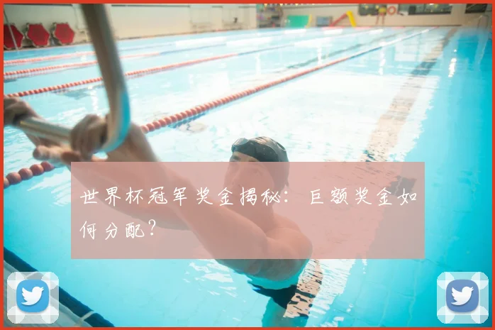 世界杯冠军奖金揭秘：巨额奖金如何分配？