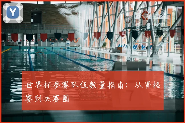 世界杯参赛队伍数量指南:从资格赛到决赛圈