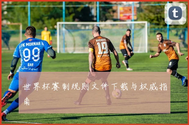 世界杯赛制规则文件下载与权威指南