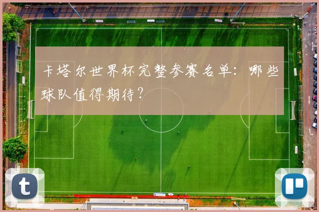 卡塔尔世界杯完整参赛名单：哪些球队值得期待？