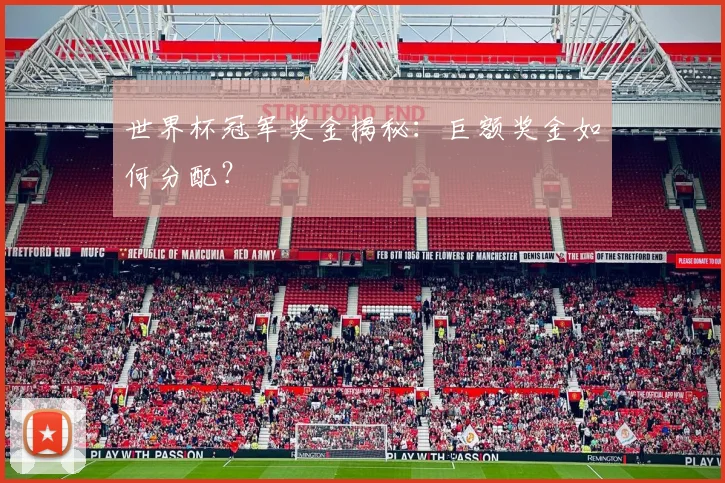 世界杯冠军奖金揭秘：巨额奖金如何分配？