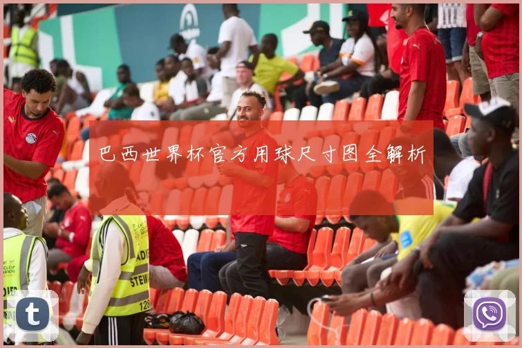 巴西世界杯官方用球尺寸图全解析