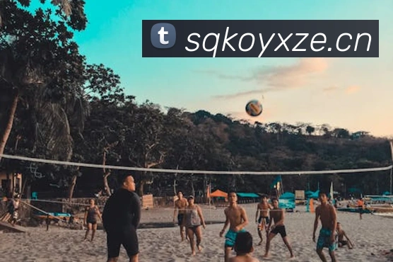 九游官网入口网页版下载安装APP 封面图